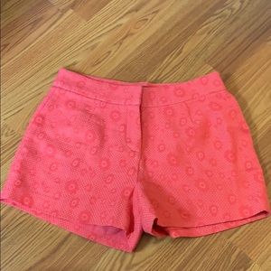 Sunday in Brooklyn shorts